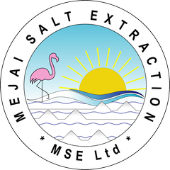 MSE Ltd logo