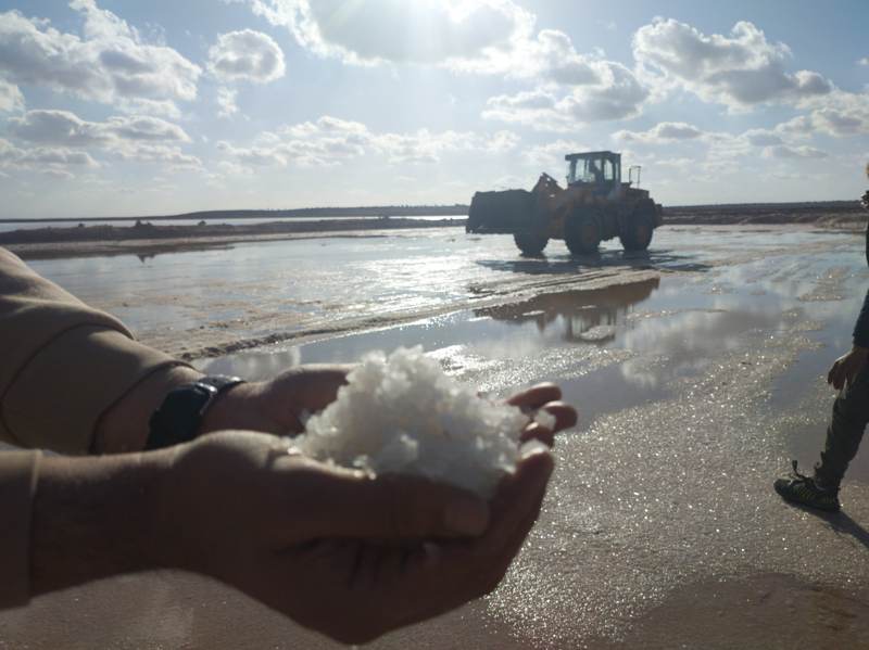 Harvested salt