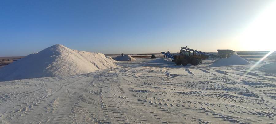 Loader and conveyors